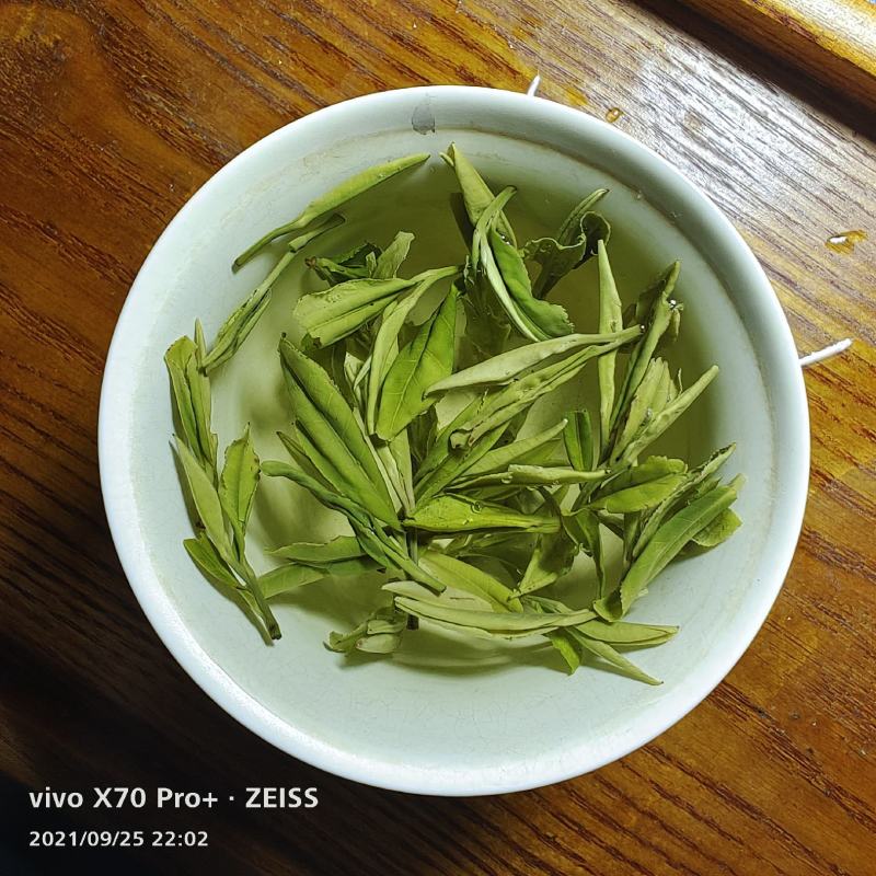 经典炭火毛峰450一斤【四季价格一样】【当年新茶】