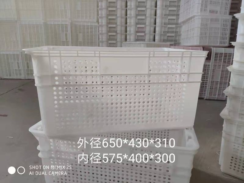 厂家直卖周转筐熟料塑料筐水果筐蔬菜筐规格齐全常年有货
