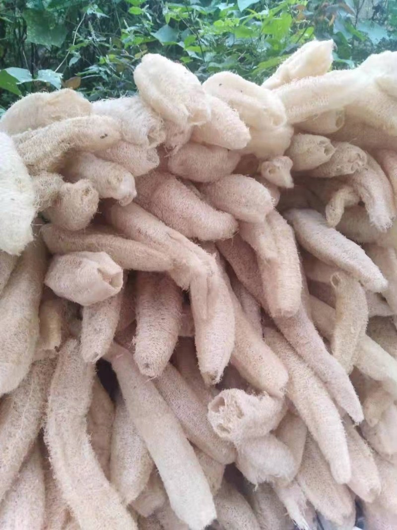 天然白软丝瓜络。种植基地千亩新货20吨，量大带开免税发票