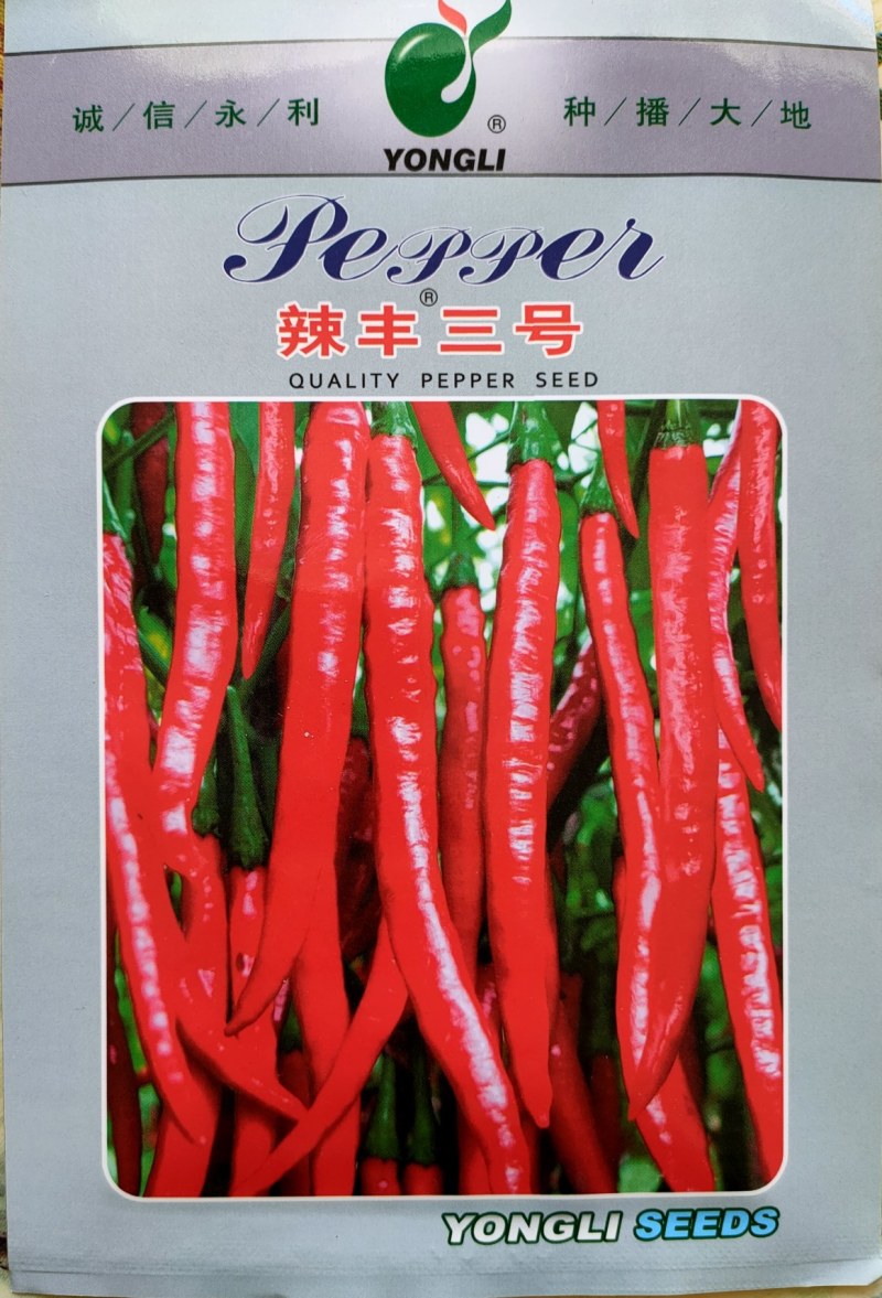红线椒种子辣丰三号辣椒种子红椒专用品种椒型美颜色好