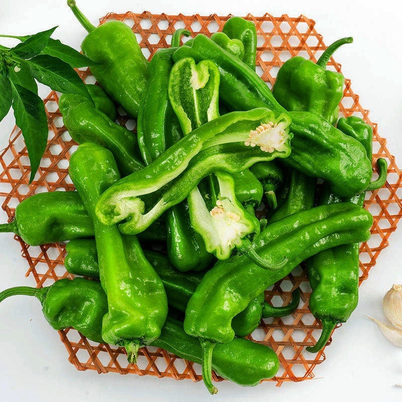 青椒薄皮量大新鲜现摘农户种植