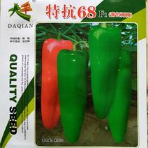 厚皮辣椒种子青红两用辣椒种子牛角椒种子台湾椒种子