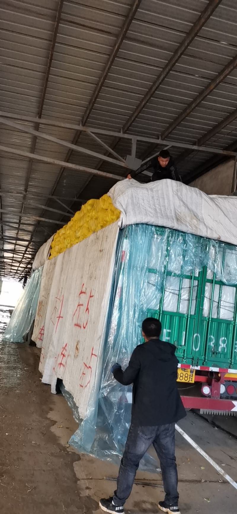 可以散装包纸网代打冷有需要的联系我、