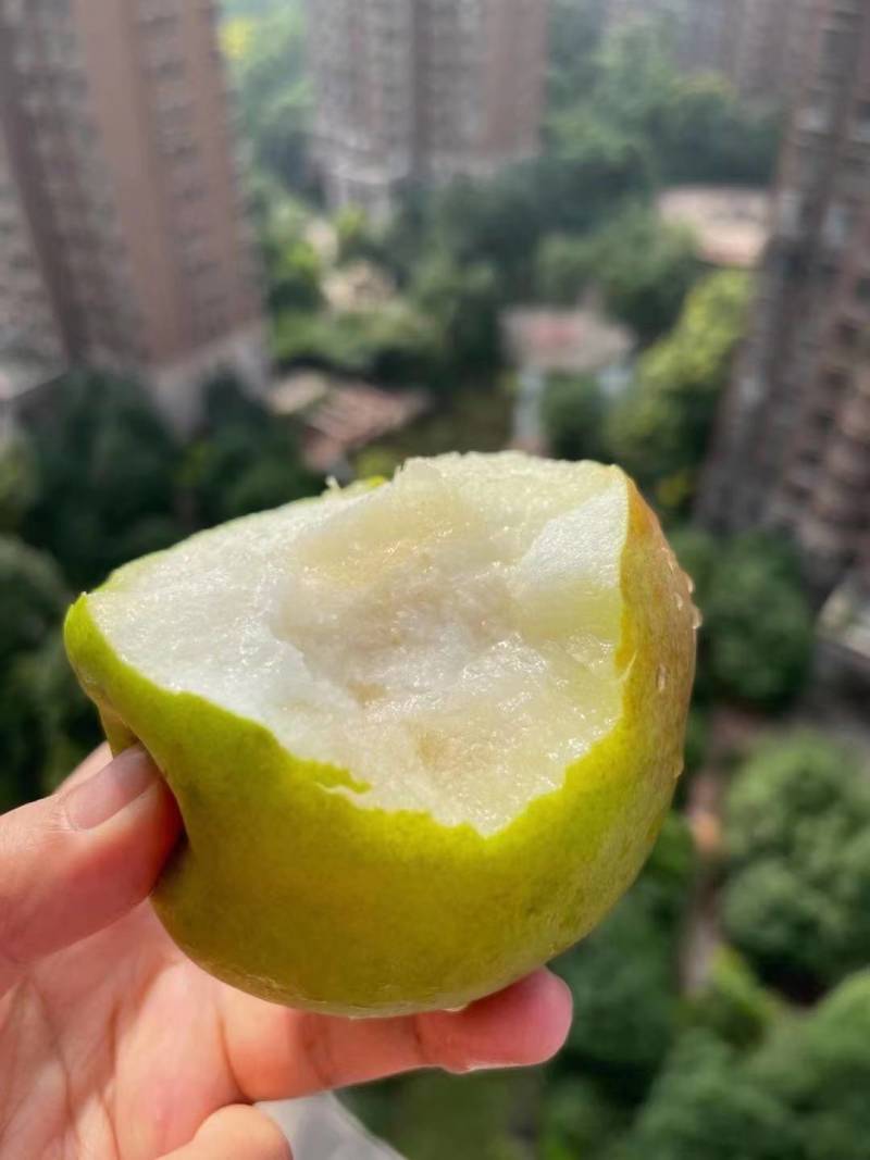 新疆特产，库尔勒香梨，脆甜多汁爽口清凉，规模采购一件代发