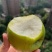 新疆特产，库尔勒香梨，脆甜多汁爽口清凉，规模采购一件代发