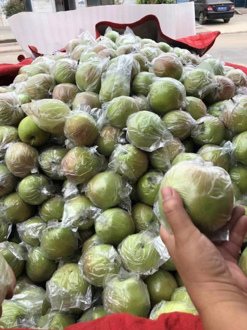 新疆特产，库尔勒香梨，脆甜多汁爽口清凉，规模采购一件代发