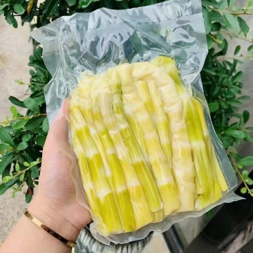 临安鲜笋肉去老根新鲜笋肉500克一袋两斤包邮装一件代发批