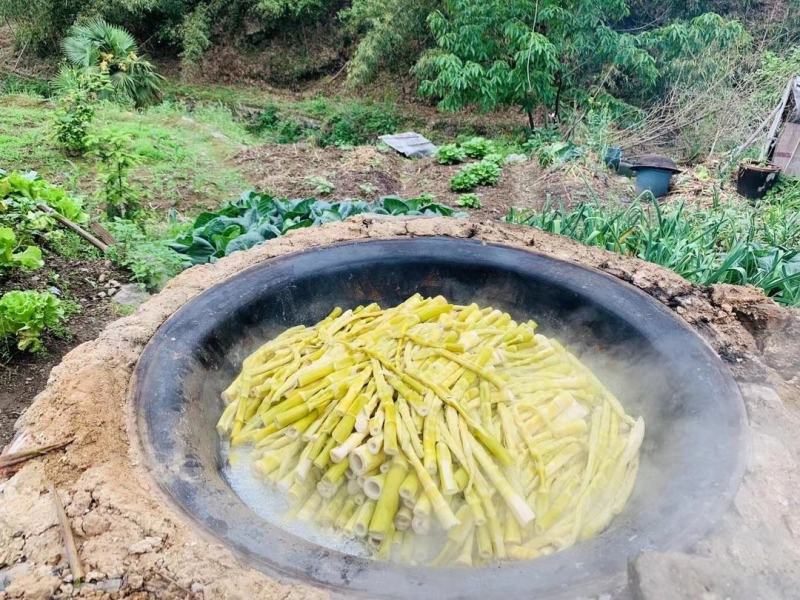 临安鲜笋肉去老根新鲜笋肉500克一袋两斤包邮装一件代发批