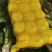 黄心白菜直量好，专业代办