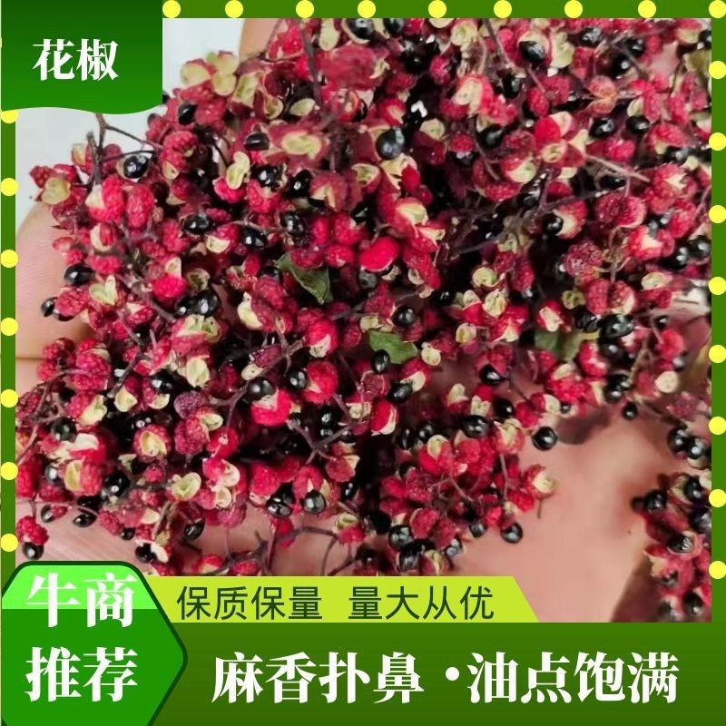 汉源花椒干花椒大量上市粒粒饱满，货源稳定，大量供货