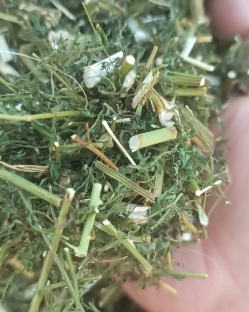 青蒿中药材批发青蒿产地直销质量保证