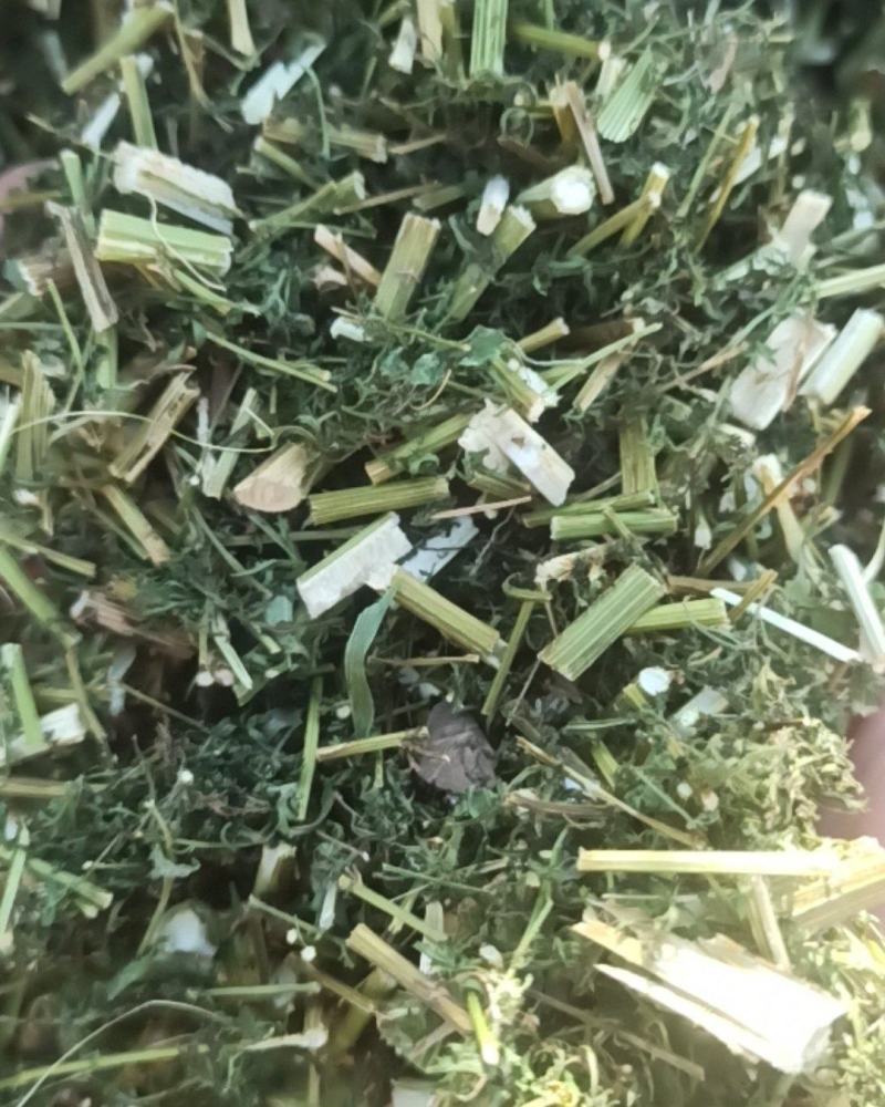 青蒿中药材批发青蒿产地直销质量保证