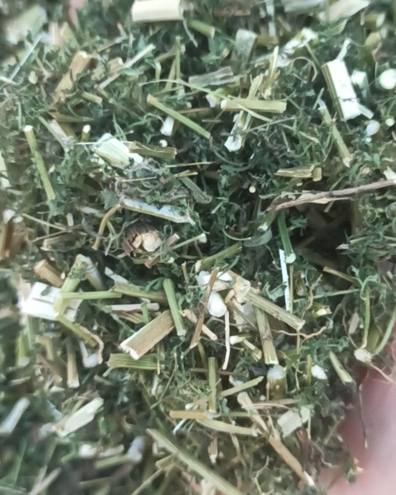 青蒿中药材批发青蒿产地直销质量保证