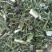 青蒿中药材批发青蒿产地直销质量保证