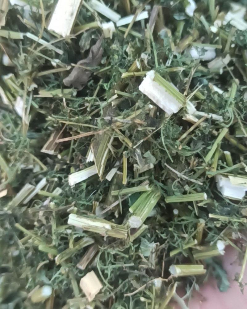 青蒿中药材批发青蒿产地直销质量保证