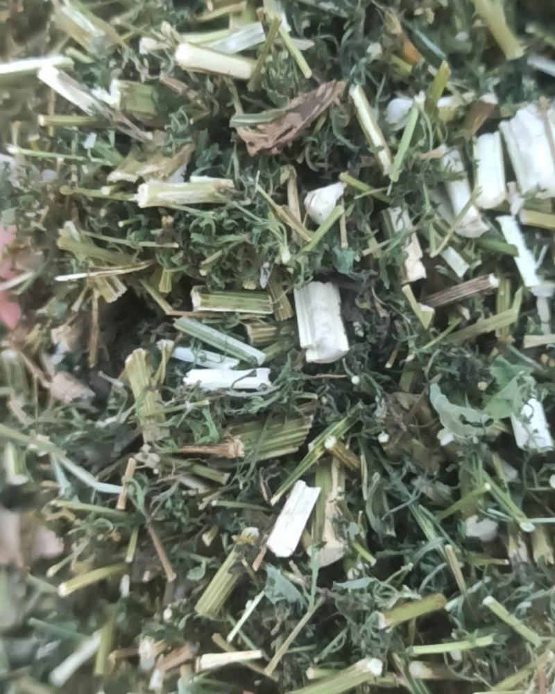青蒿中药材批发青蒿产地直销质量保证