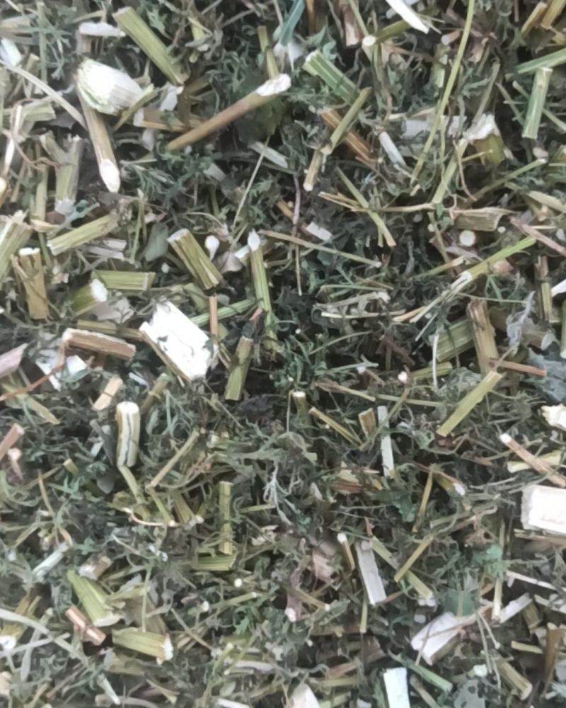青蒿中药材批发青蒿产地直销质量保证
