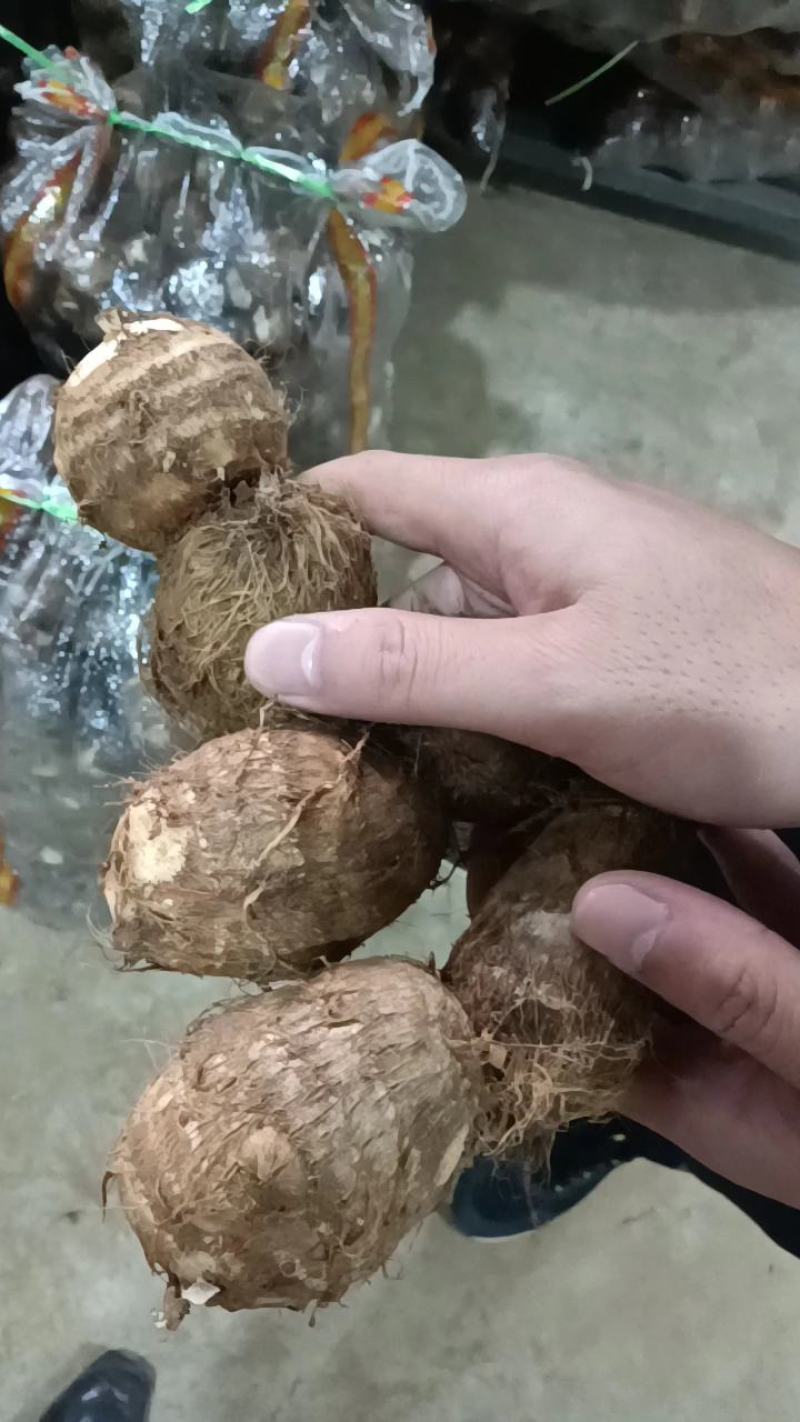 【牛商推荐】山东优质8520毛芋头，产地货源，坏烂包赔