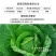 （厂家直销）高效氯氟氰菊酯功夫菊酯主要针对蚜虫菜青