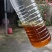 绵羊油菜籽