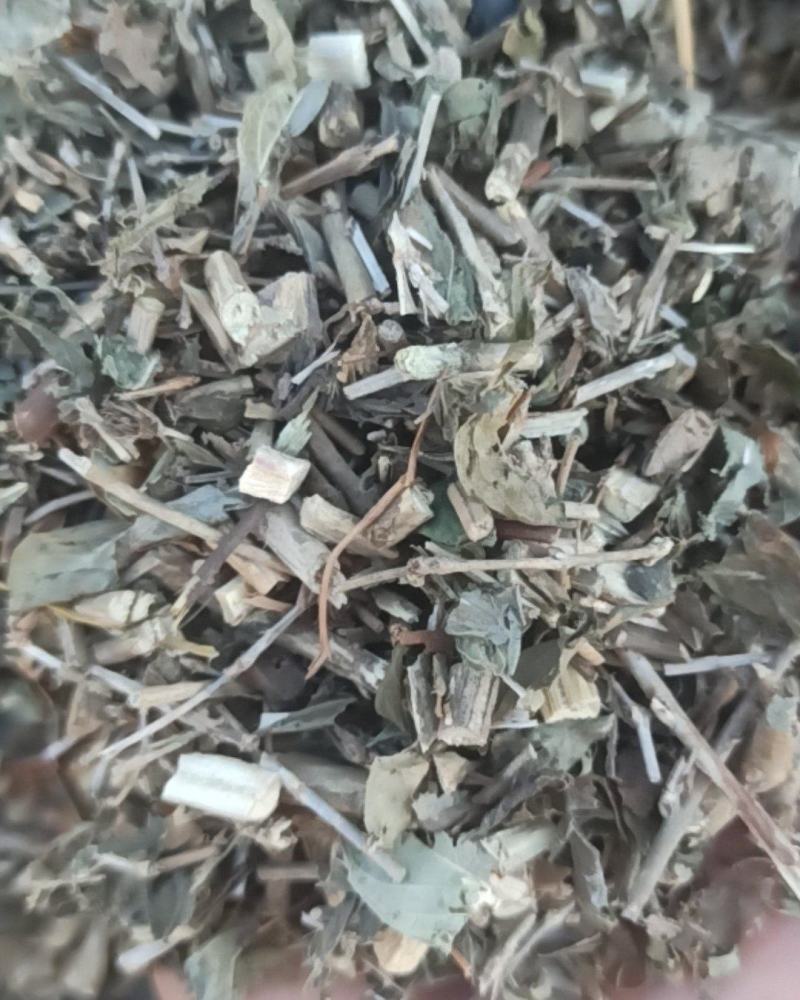 六月雪中药材批发六月雪质量保证量大从优