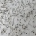南美白对虾虾苗南美白对虾苗基围虾苗淡水虾苗种苗