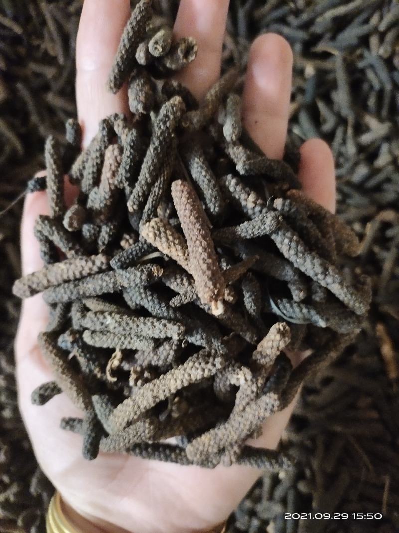 【文斌药业】荜拨荜菝实图实拍各种大料批发零售