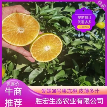 精品爱媛38号果冻橙皮薄多汁产地直销优惠价全国发货