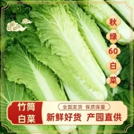 [白菜批发]60大白菜价格0.80元/斤 - 一亩田