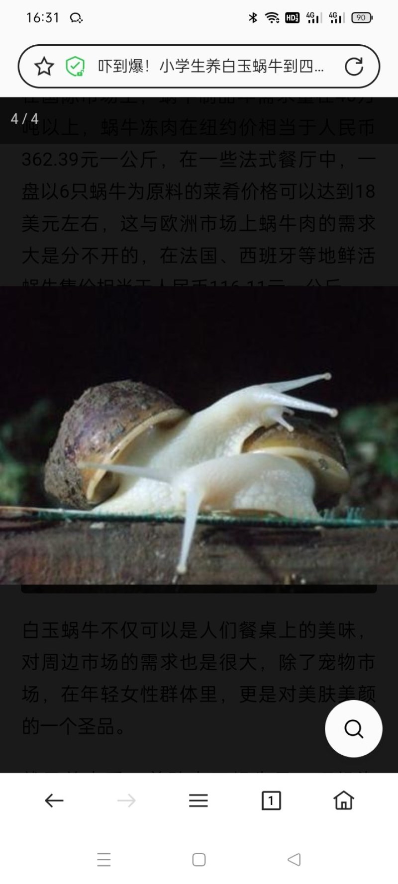 白玉蜗牛