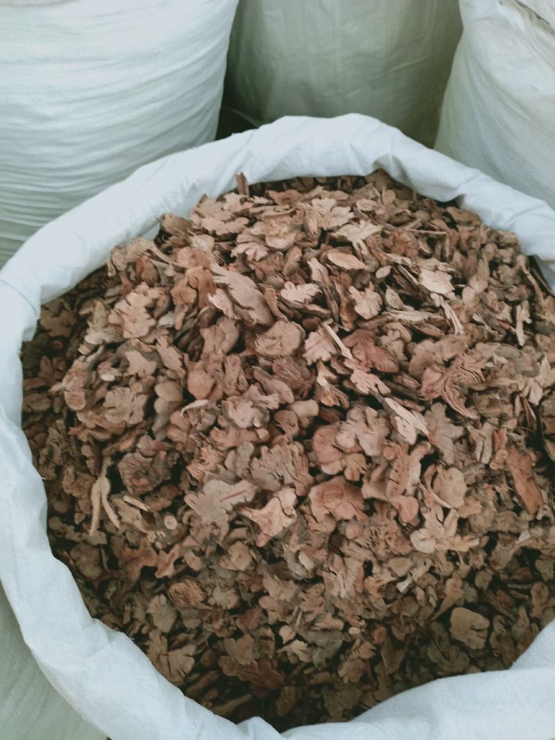 金荞麦，正品优质金荞麦片，干净无杂质量保证欢迎咨询！