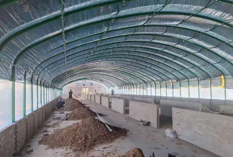 专业生产各种规格养殖大棚养牛棚养羊棚全国发货包建
