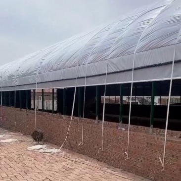 专业生产各种规格养殖大棚养牛棚养羊棚全国发货包建