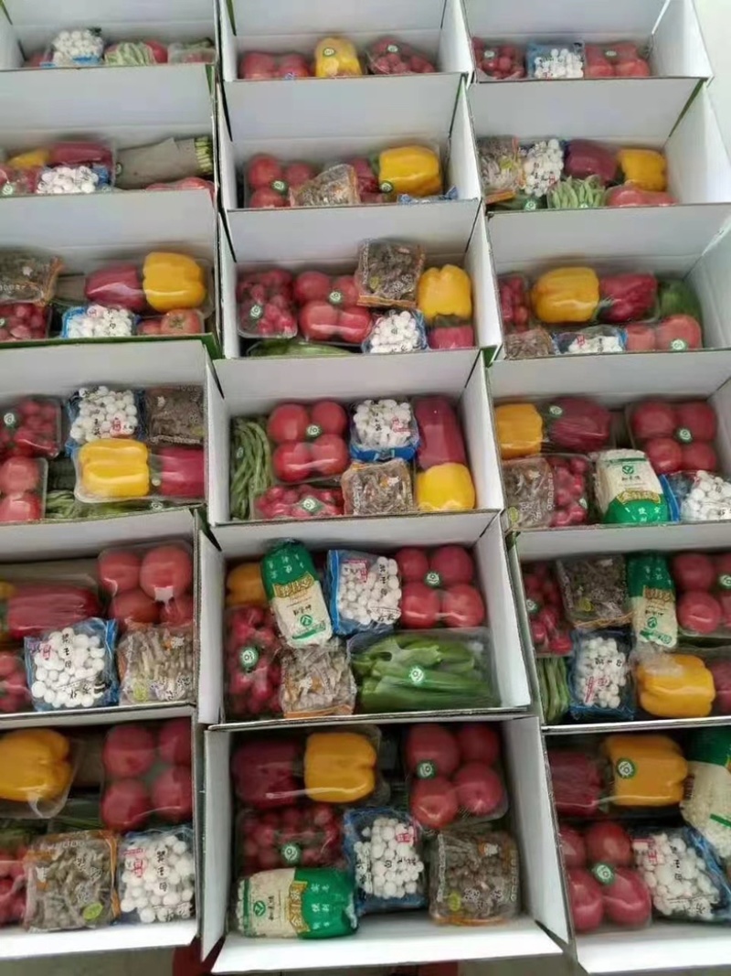 寿光市精品五彩椒，质量保证，代发代收，全国走货到
