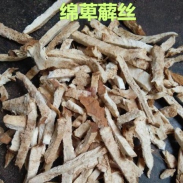 萆薢，野生绵萆薢丝质量保证现货供应欢迎咨询合作！