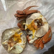 大闸蟹