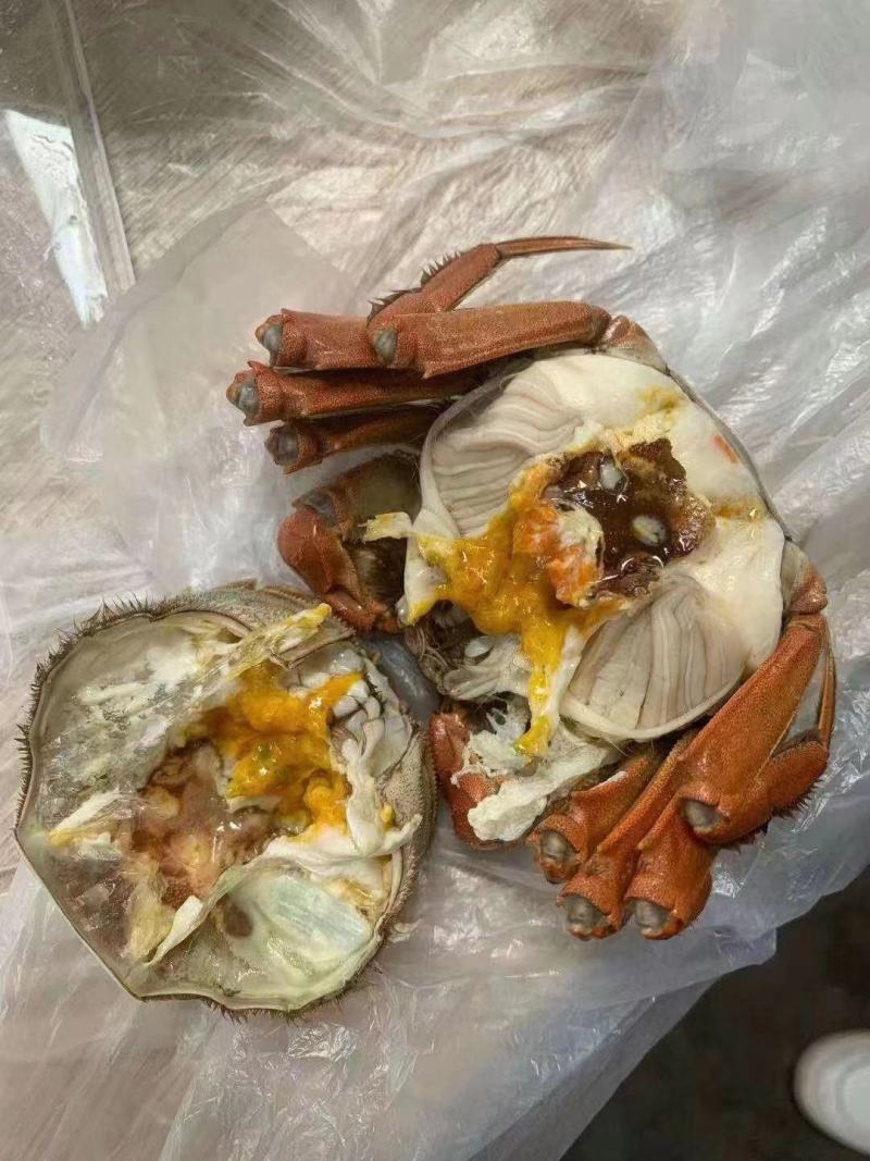 大闸蟹