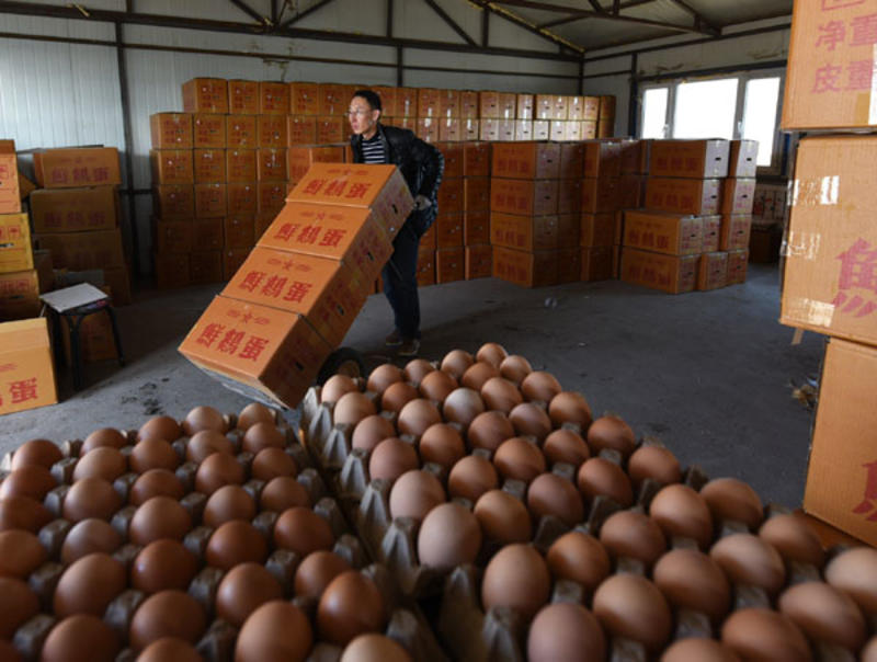 [鲜鸡蛋/次品蛋/B3蛋]厂家出售各色型号全国发货