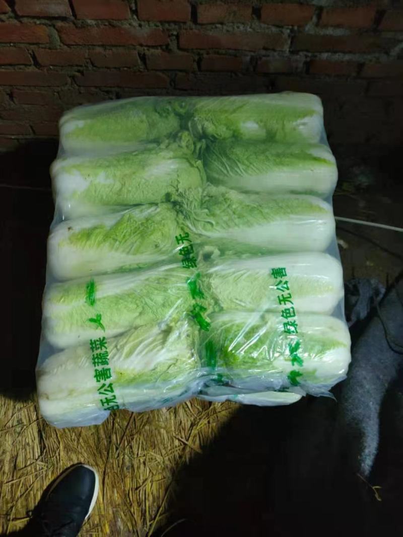 辽宁凌海精品黄心菜产地直销，质量扛扛全国代发4-5-6斤