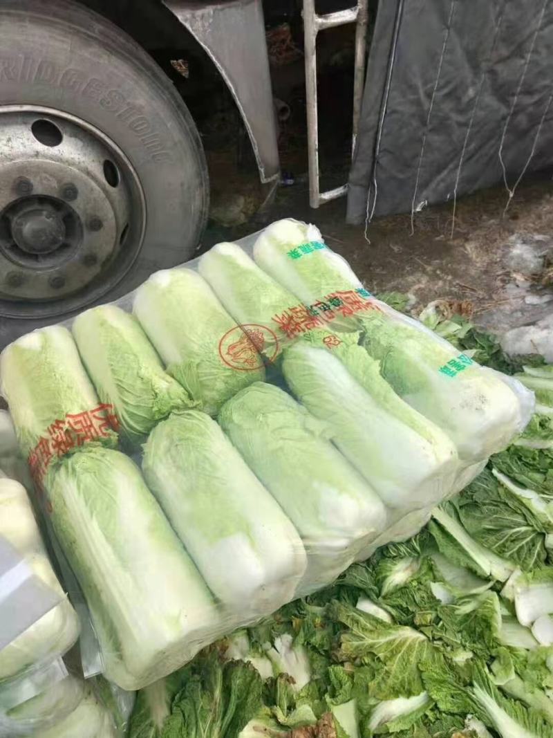 辽宁凌海精品黄心菜产地直销，质量扛扛全国代发4-5-6斤