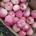 青龙大山寒富士苹果热售中，欢迎新老客户来选购。