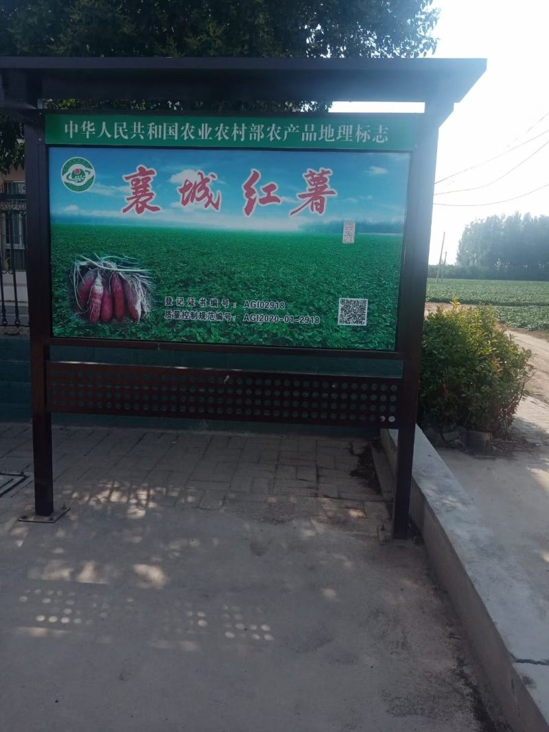 红薯粉条，纯红薯淀粉粉条，襄城特产，产地直供