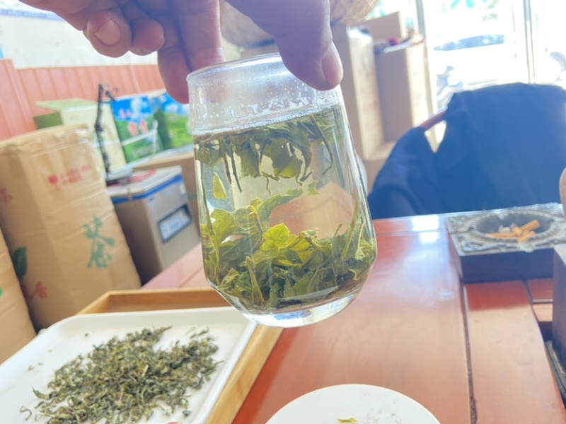 2024新茶绿茶茶叶低档云雾绿茶叶电商饭店宾馆商用原料茶