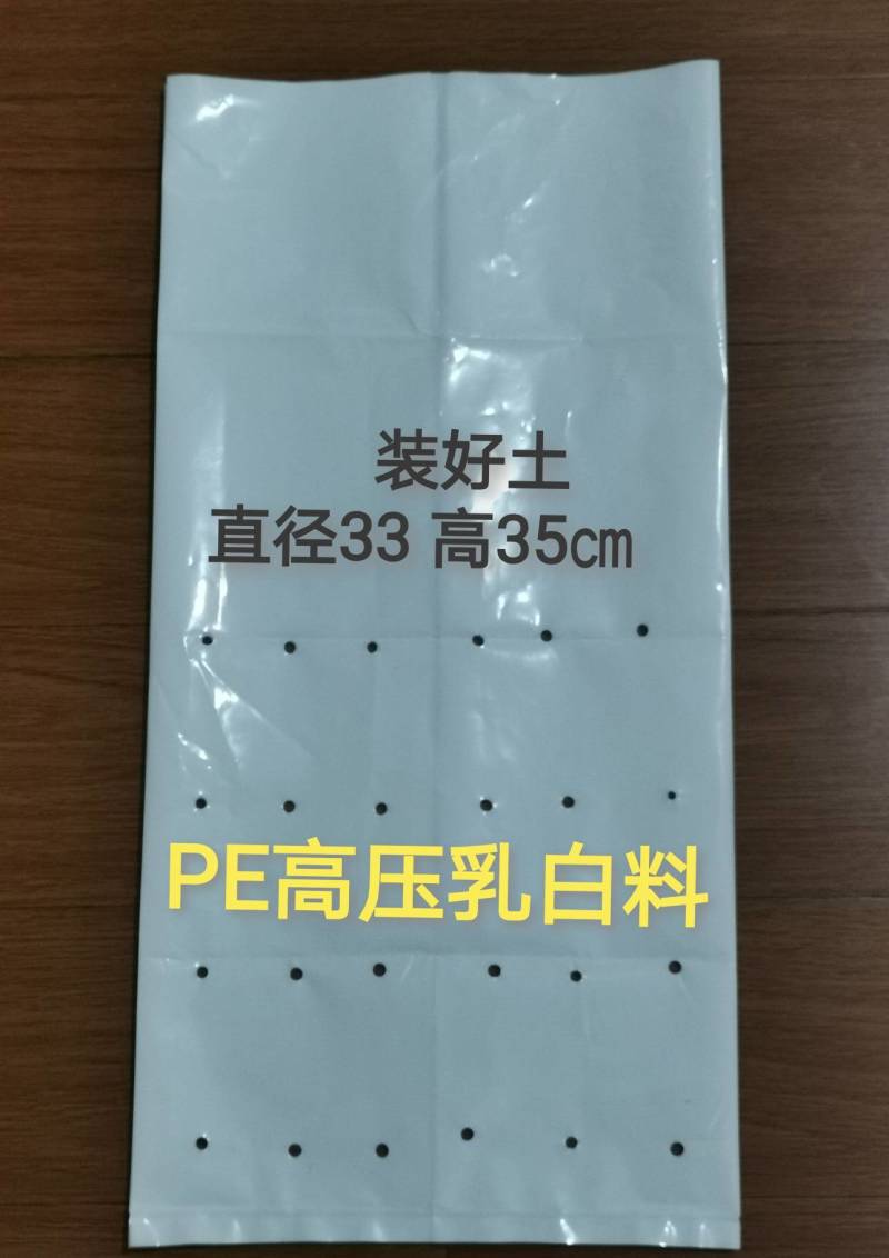 加厚PE育苗袋柑桔脐橙等果树营养杯厂家直销支持订做