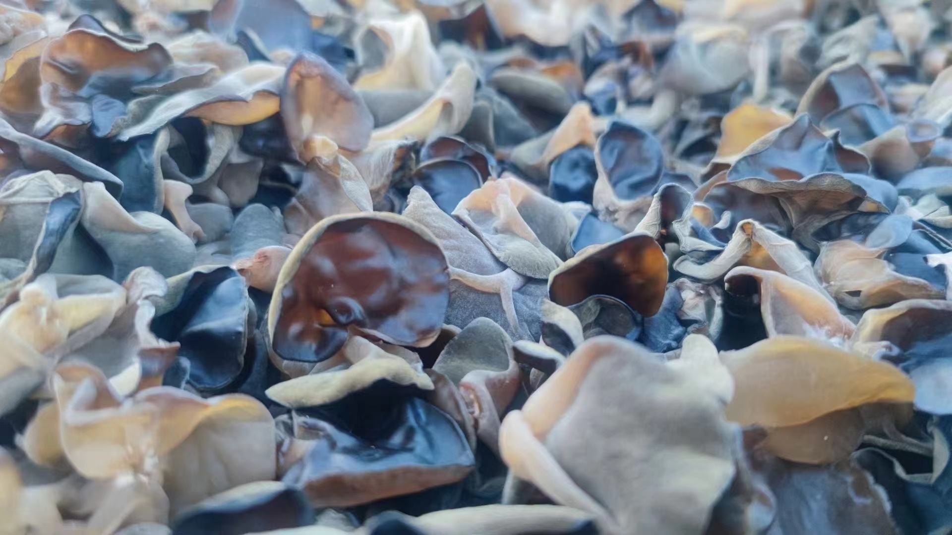 黑木耳与西兰花拼盘图