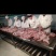 新鲜兔肉自繁自养自产自销供应各种冷鲜兔肉