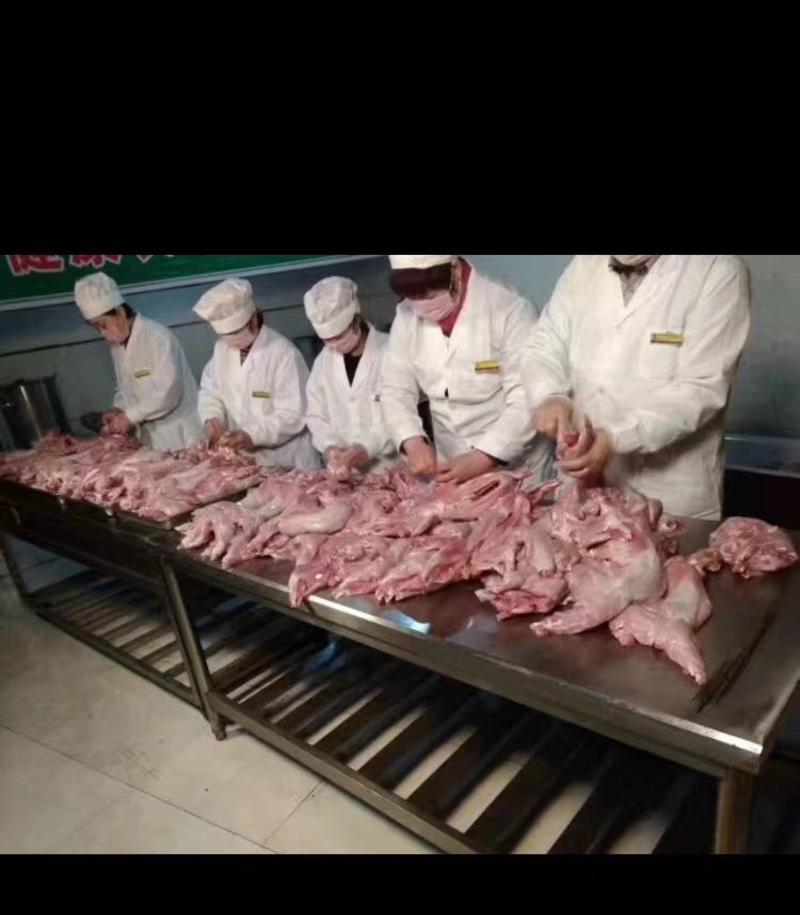 新鲜兔肉自繁自养自产自销供应各种冷鲜兔肉