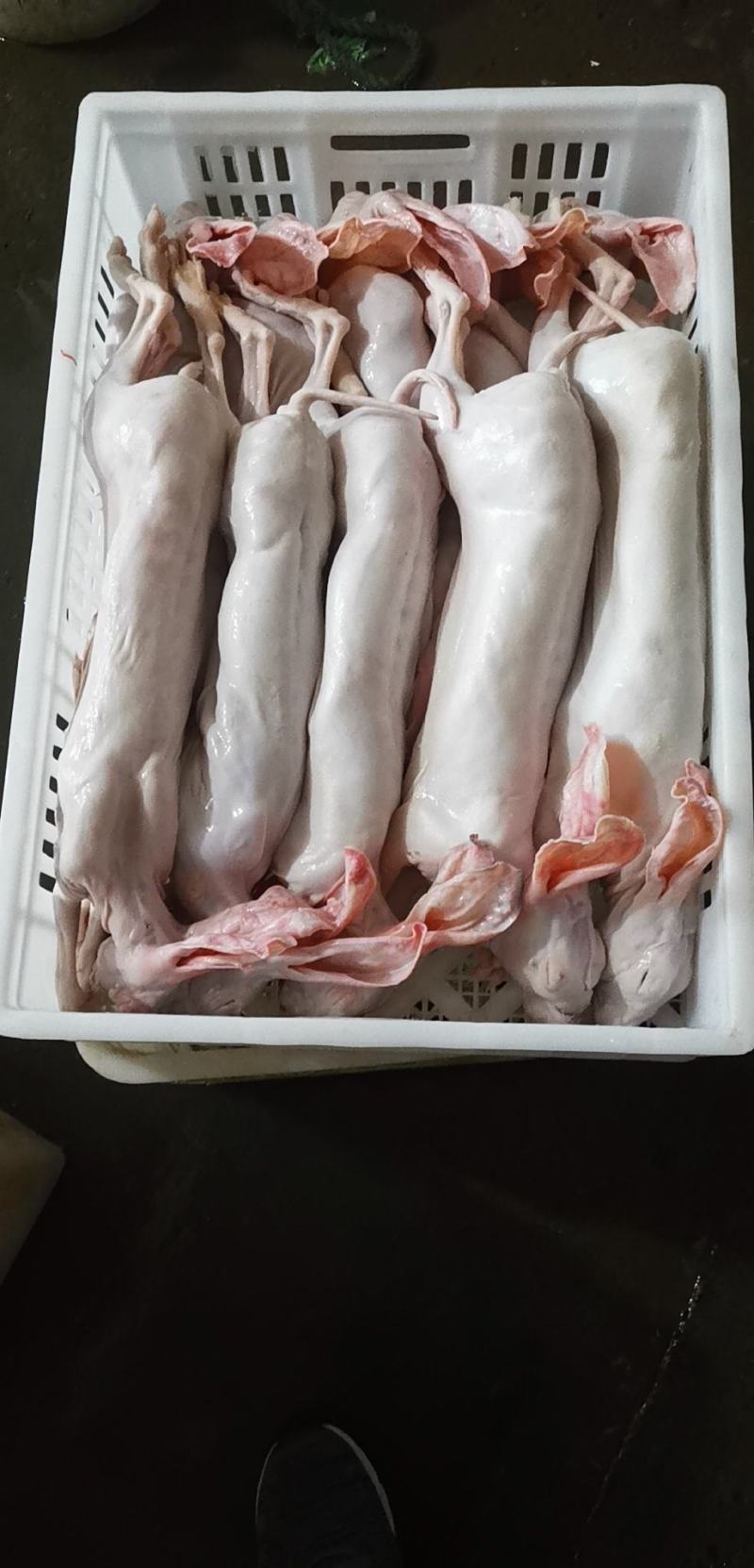新鲜兔肉自繁自养自产自销供应各种冷鲜兔肉