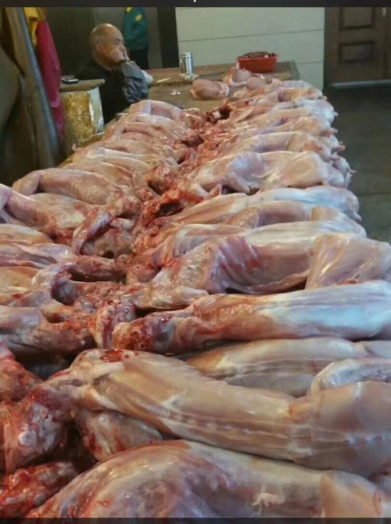 新鲜兔肉自繁自养自产自销供应各种冷鲜兔肉