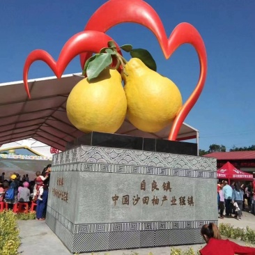 大量批发容县自良优质沙田柚，欢迎到来主产区品尝选购